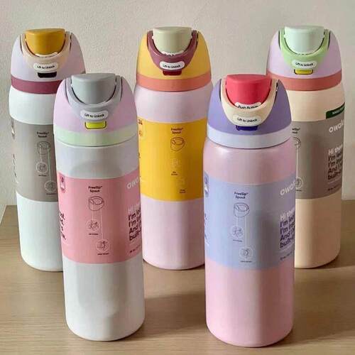 Owala Insulated Stainless Steel Water Bottle with Straw, BPA