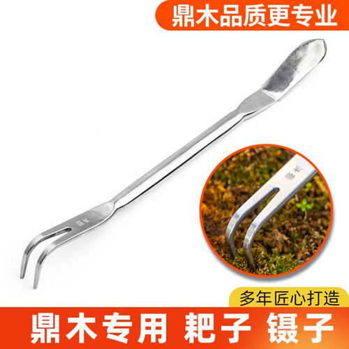 不锈钢小耙子二齿盆景松土神器摘芽镊子盆栽换盆园艺种花除草工具