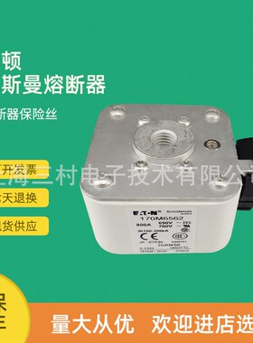 全新原装快速熔断器保险丝170M6618 170M6619 170M6620 170M6621