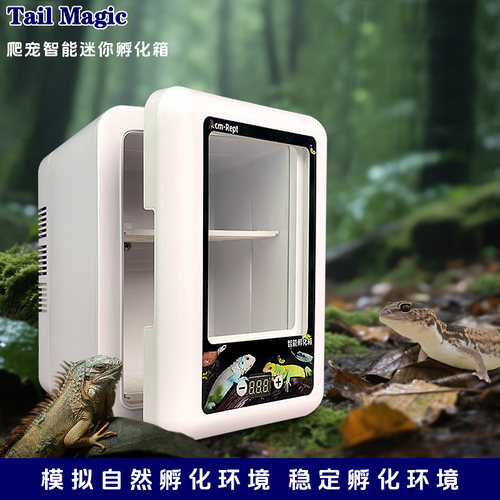 爬宠迷你智能恒温孵化箱