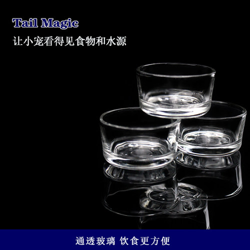 爬虫爬宠玻璃水杯水盆