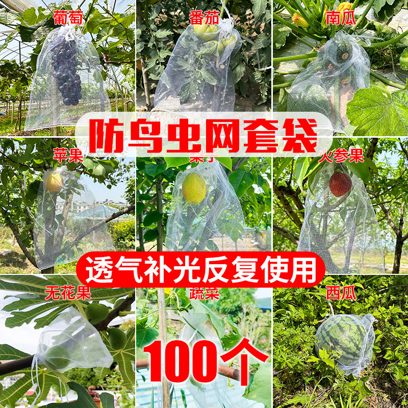 速发水瓜套袋防鸟防虫网袋葡萄无花果果果枇杷草莓杨桃子保护袋子
