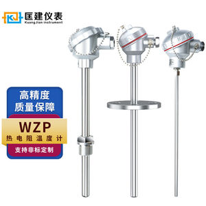 速发匡建仪度PT型100热温度计铠装K-热电偶wzp-10/20温表计感测