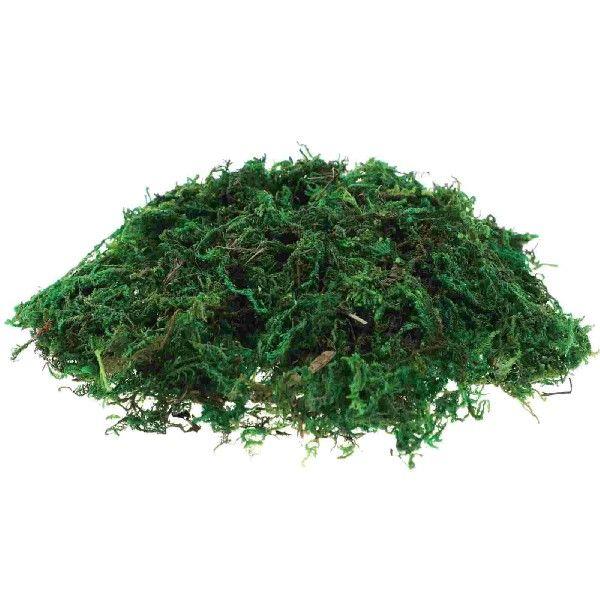 Decorative Moss Green for Plants Preserved Potted Fake