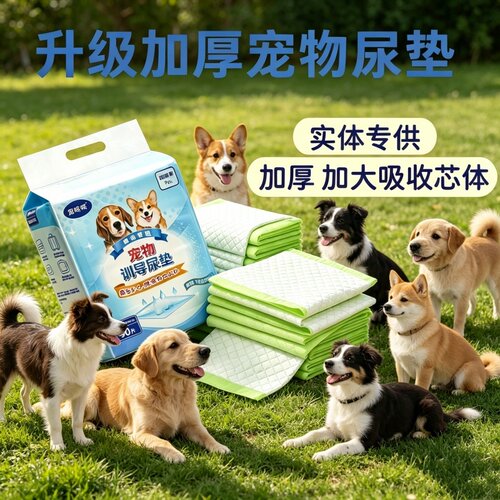 加厚诱导宠物尿垫狗狗泰迪猫兔通用吸水纸防漏除臭隔尿布训导尿片