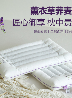 薰衣草枕头成人软弹记忆棉枕芯全棉面料助眠卧室专用枕