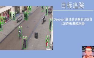 特征提取网络课程源码 讲解和训练自己 deepsort算法 目标追踪