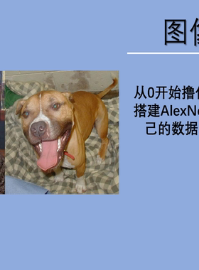 从0开始撸代码--手把手教你搭建AlexNet网络模型训练自己的数据集