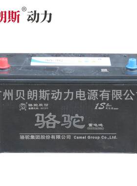 蓄电池6-QW-175min(720) N100铅酸车用蓄电池12V100Ah