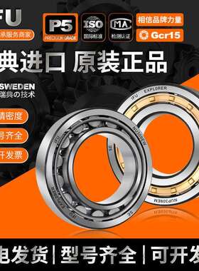 IFU圆柱滚子轴承NJ1019 NU1019 NUP1019 N1019 RN1019 ECM ECP EM