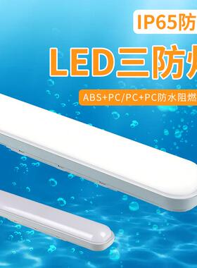 LED全塑料三防灯贴片乳白色罩仓库T8防爆支架1.2米外壳套件防水