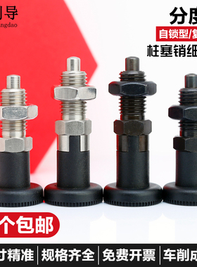 GN617分度销旋钮柱塞自锁型弹簧复位型定位销弹性销M10M12M16M20