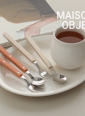 【韩国原单】韩式Cher茶勺叉食品级304不锈钢PC手柄小勺小叉2件套