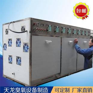 污水处理工业大型臭氧发生器5000g有效降解COD BOD脱色去味臭氧机