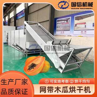 皱皮木瓜烘干设备履带式番木瓜乳瓜木李片烘干机网带木瓜烘干机