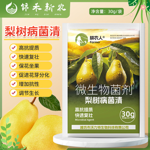 梨树病菌清复合微生物菌剂丰水梨雪梨红梨鸭梨香梨专用叶面肥料
