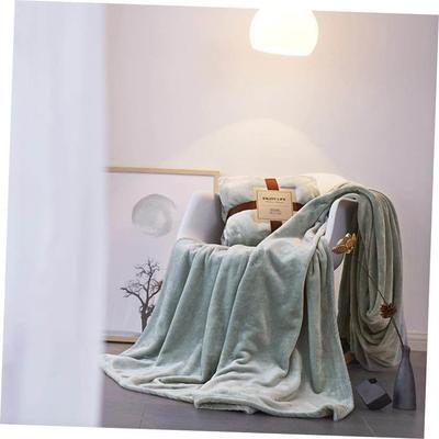 Blanket Plain Flannel Thick Coral Fleece Knee Blanket 小毛毯