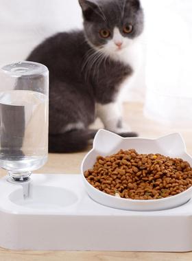 Pet Bowl Automatic Feeder Dog Cat Food Bowl with Water Dispe