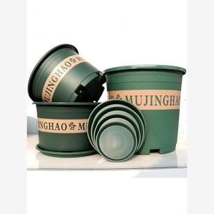 pot plastic plant More green flower trees POTS large