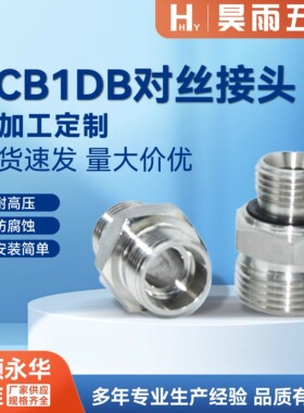 304不锈钢1CB/1DB对丝变径高压油管卡套双头外丝H型直通液压接头