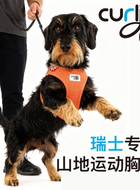Curli运动胸背3D环绕护胸速穿耐用型宠物胸背大中小型犬瑞士进口