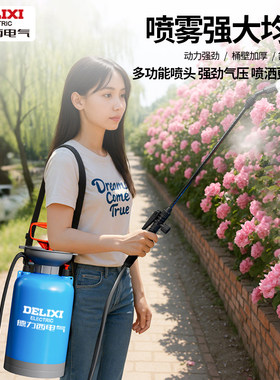 德力西喷壶打药家用加压浇花