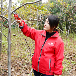 极速中村一郎电动修枝剪刀充电y式电动果树剪刀剪树枝粗枝剪园艺