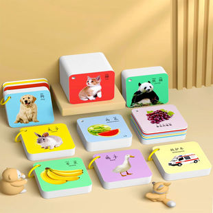 极速鸿趣幼儿童早教启蒙认知卡z片0 6岁宝宝看图识物识字卡