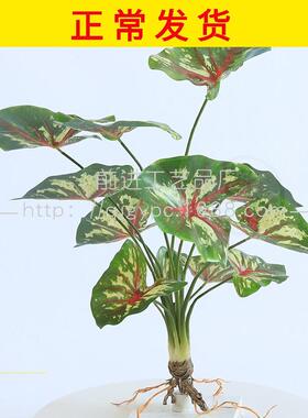 极速(Artificial plant greening engineering gOround pile land