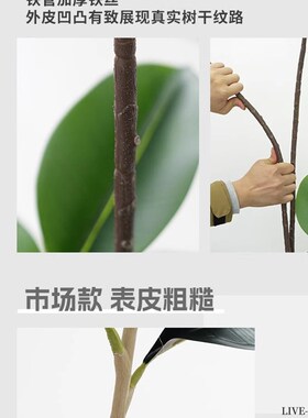 新品仿真绿植橡皮树客厅盆栽室内仿生假植物轻奢高U端绿植落地装