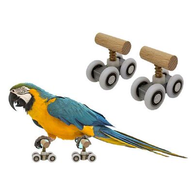 极速Parroet Roller Skate Adjustable Fun Bird Intelligence