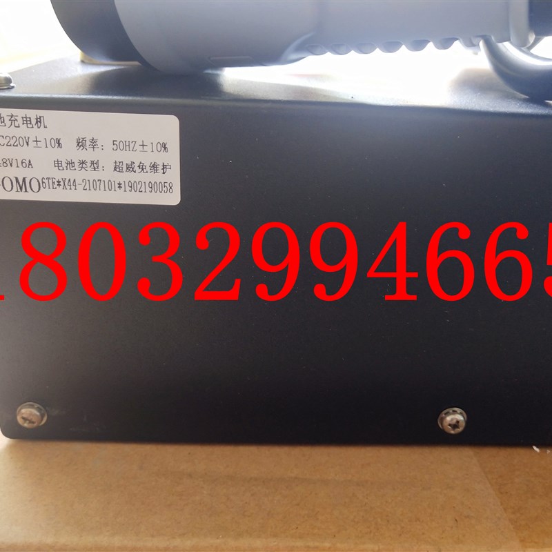 极速御捷260电动汽车48V充电器 乐唯V2外置充电机48伏Z 配件加装