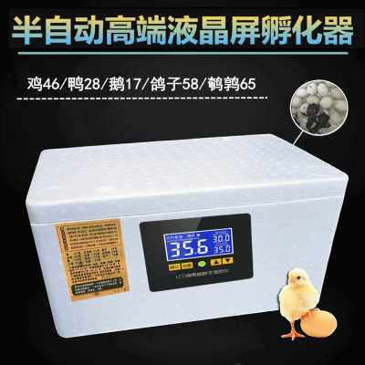 极速厂销智能孵化器小型家用孵A化机全自动智能鸡鸭K鹅鸽蛋保温箱
