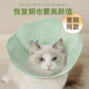 新品 马卡龙c伊丽莎白圈猫咪狗狗项圈防舔防咬围脖犬猫防水宠物绝