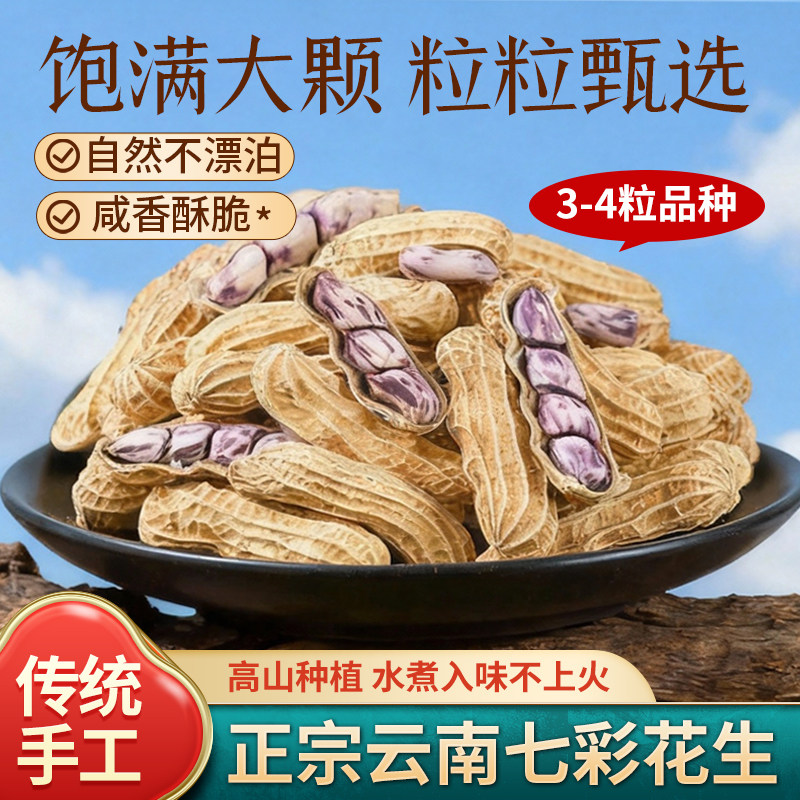 2026新货云南七彩花生湿烤水煮咸带壳熟牛奶花生野餐炒货零食特产