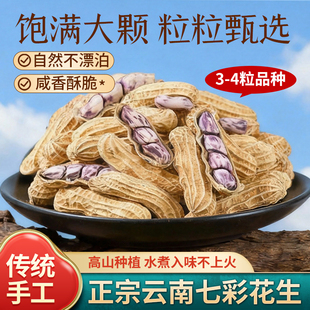 2025新货云南七彩花生湿烤水煮咸带壳熟牛奶花生野餐炒货零食特产