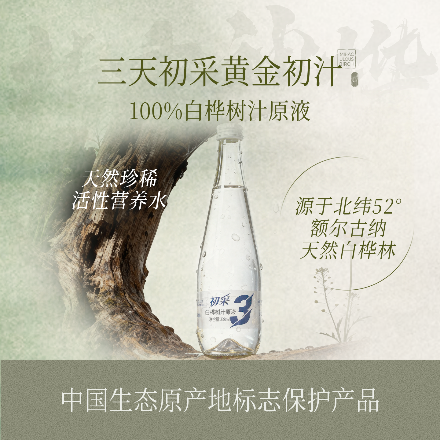 北方神桦原生态天然白桦树汁原汁原液三天初采338ml*12瓶植物饮料