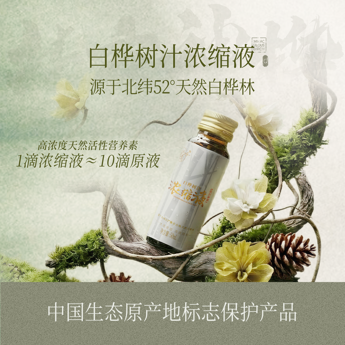 大兴安岭天然白桦树汁原液高倍浓缩液健康营养饮品年货礼盒送长辈