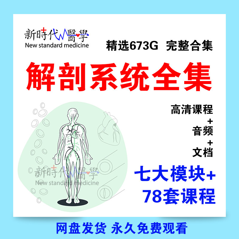 解剖列车课程人体运动功能肌肉系统断层局部艾氏视频全集