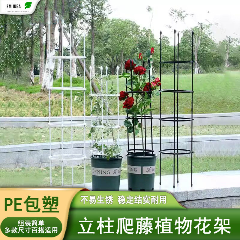 花架爬藤架铁线莲月季植物支撑杆庭院室内花盆植物攀爬架爬藤支架
