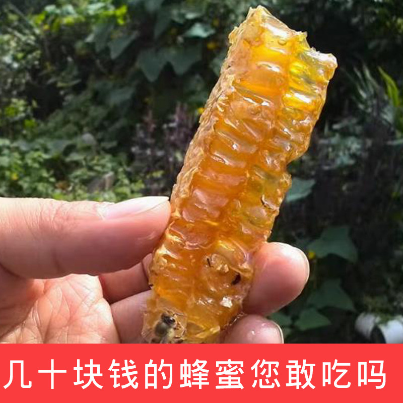 湖北宜昌农家自产土蜂蜜百花蜜树洞蜜石缝蜜纯天然0添加500g