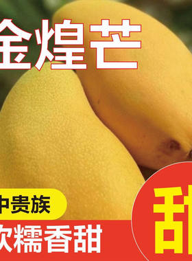 【香甜】大金煌芒果新鲜水果当季现摘热带水多汁仙青黄皮云南薄核