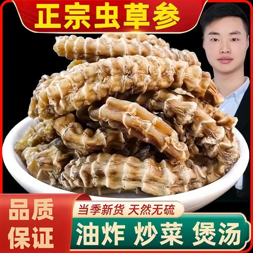 云南虫草参干货竹节参地参石蚕