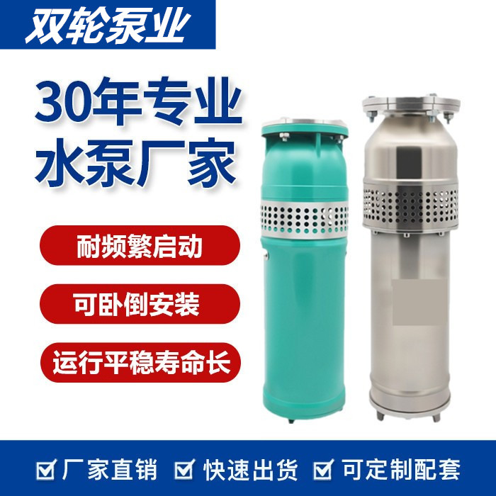 山东双轮喷泉泵QSP/QSPB系列潜水泵水景专用水泵380V