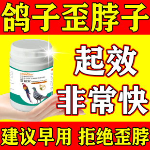 鸽子歪脖子药新城疫特效液赛鸽沙门氏菌嗦囊炎歪头扭脖专用歪脖康