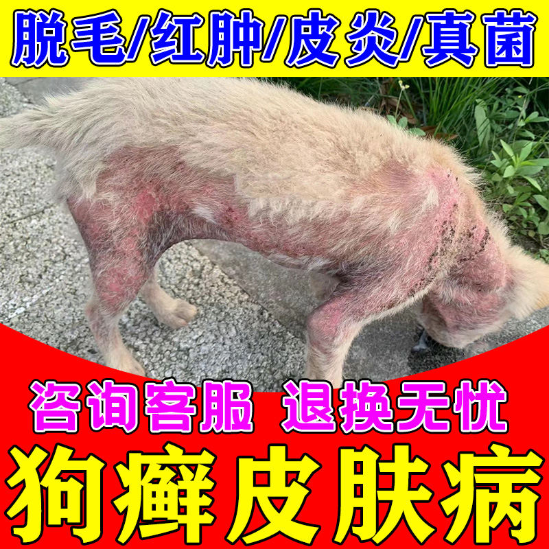 狗狗真菌感染口服药狗身上长癣脱毛皮炎耳朵发炎皮肤病狗藓专用药