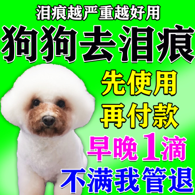 狗狗泪痕去除液比熊去泪痕神器