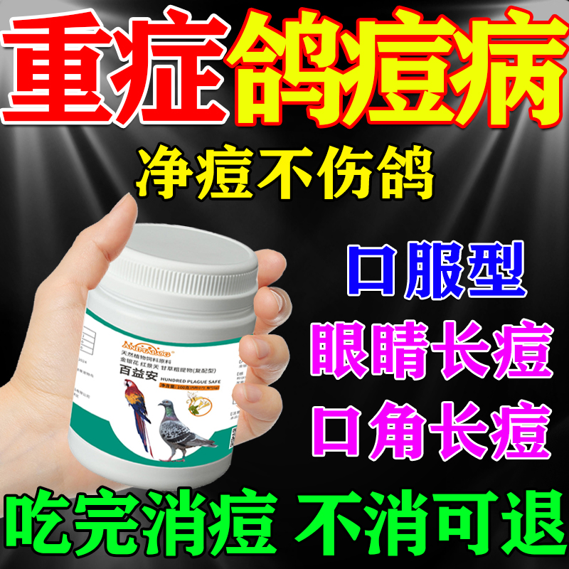 新品上新，多买多送