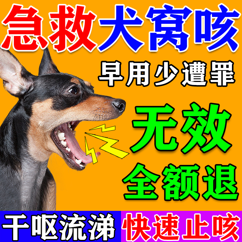 犬窝咳一吃就好100%不复发