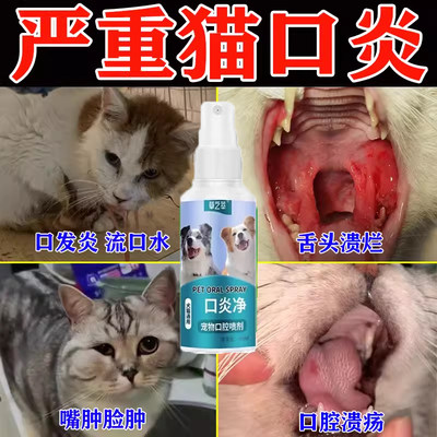 猫咪口炎剂草之萃杯状病毒治疗